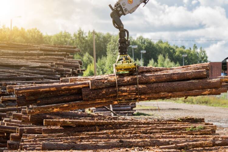 Työkone nostaa kaadettua puuta