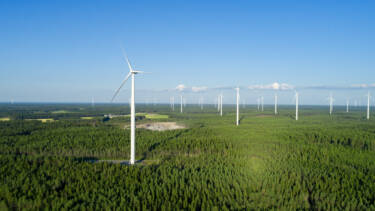 Tuulivoimaloita metsän keskellä.